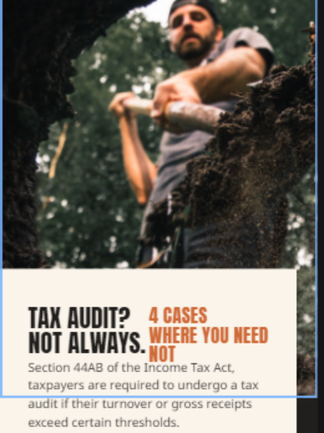 avoid tax audit