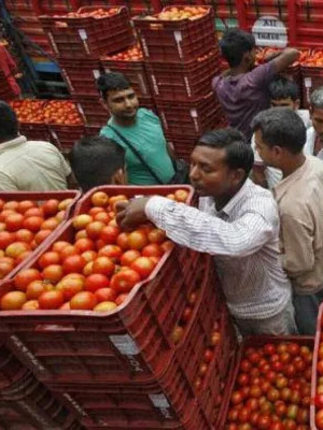 4 reasons : why tomato prices are high in India this season?
