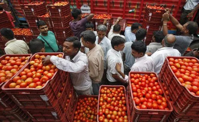 4 reasons : why tomato prices are high in India this season?